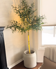 GlowSpot™ | Create a luxurious ambience!